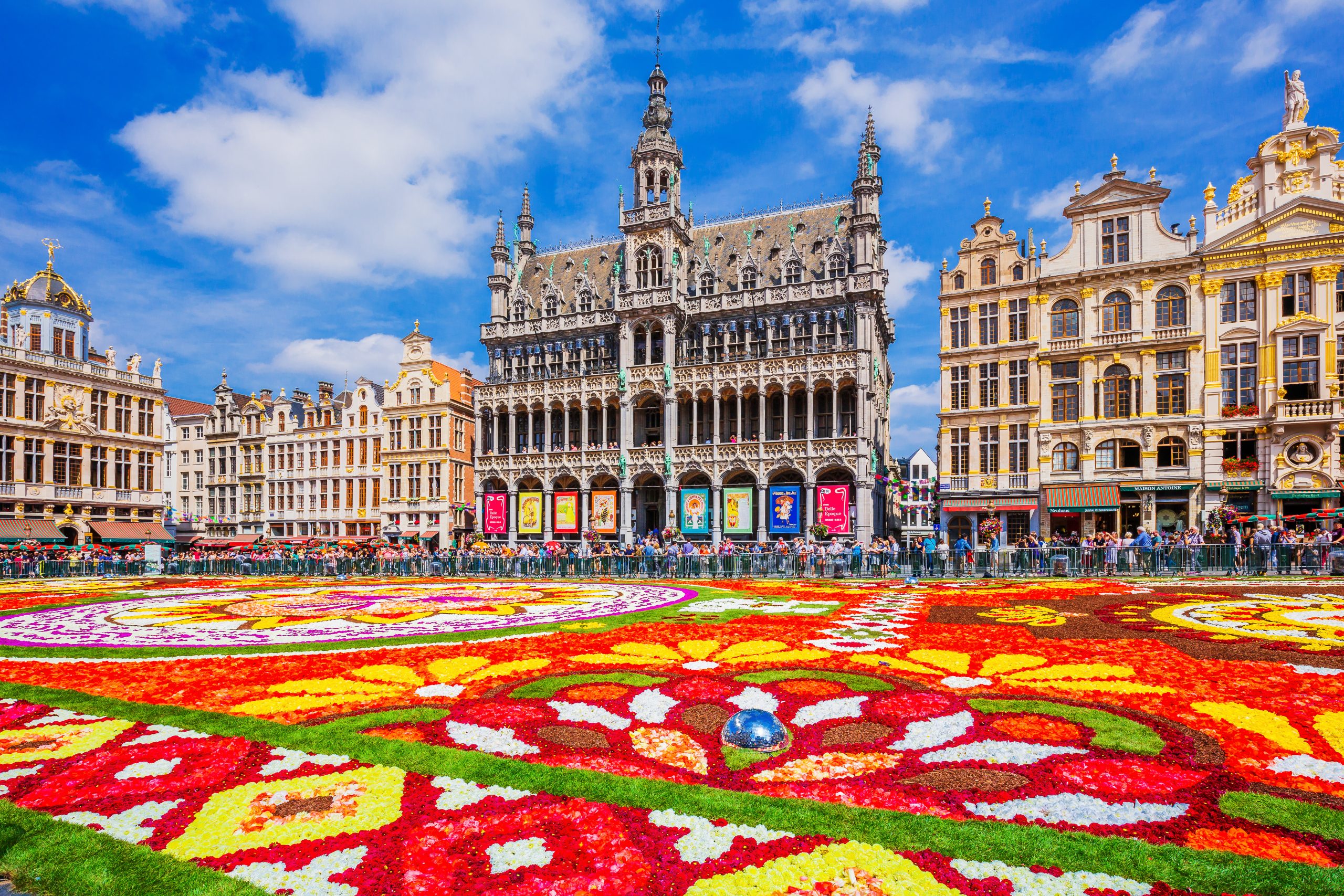 Grand Place à Bruxelles et Tapis de fleurs